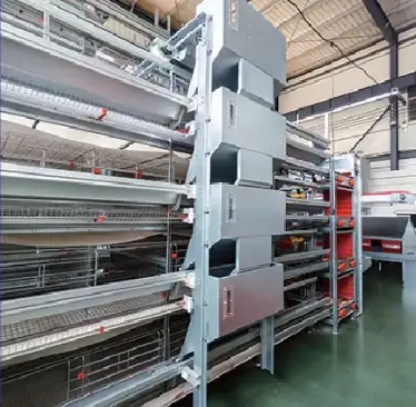 H-type layer cage frame assembly in the factory