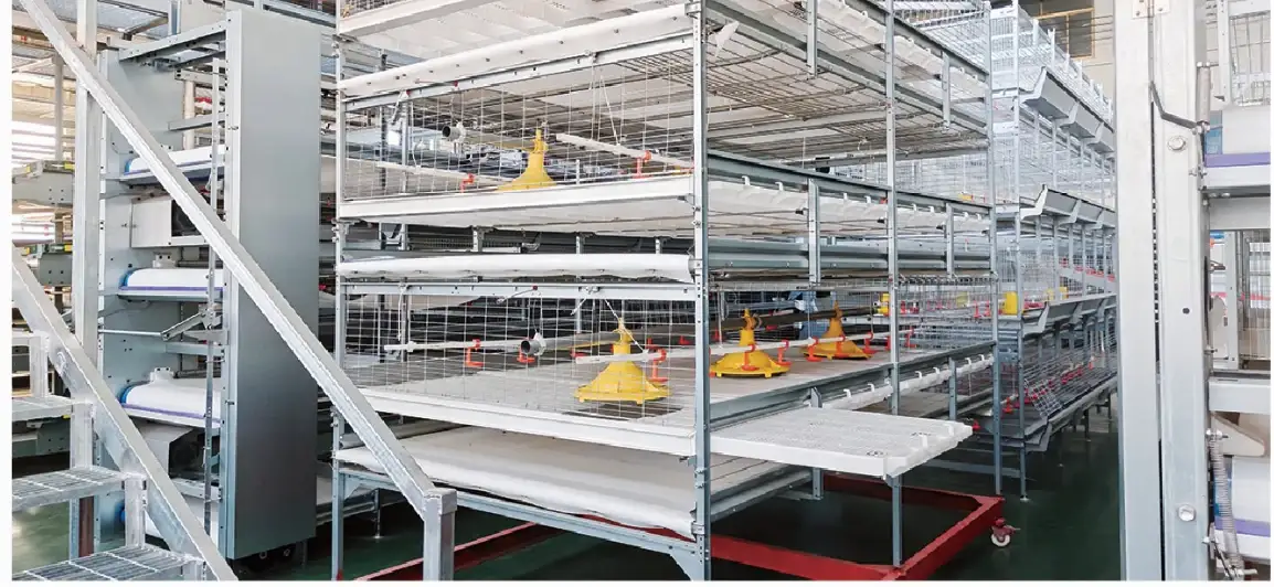 Automatic push-pull harvest broiler cage in the factory