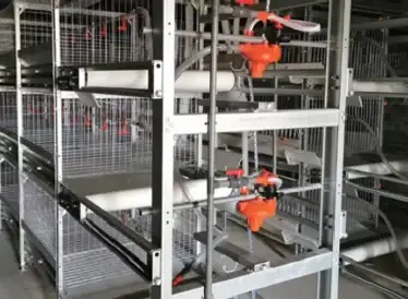 Feed line and drive unit of the double-row broiler cage