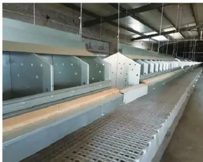 Laying nest row with egg conveyor belt and slat flooring