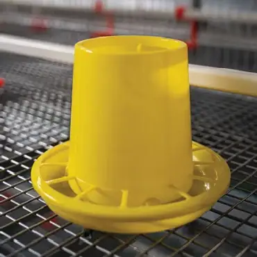 Yellow chick feeder pan inside the brooding cage