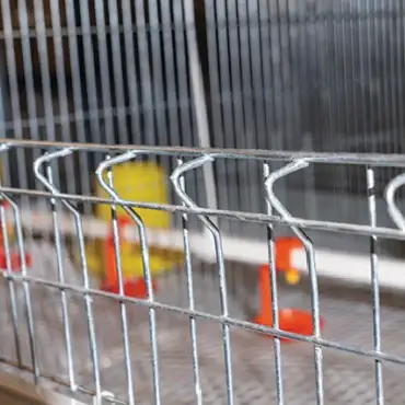 Front net design that prevents chicks from escaping