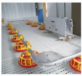Feeder pans and chain feeding line on plastic slats