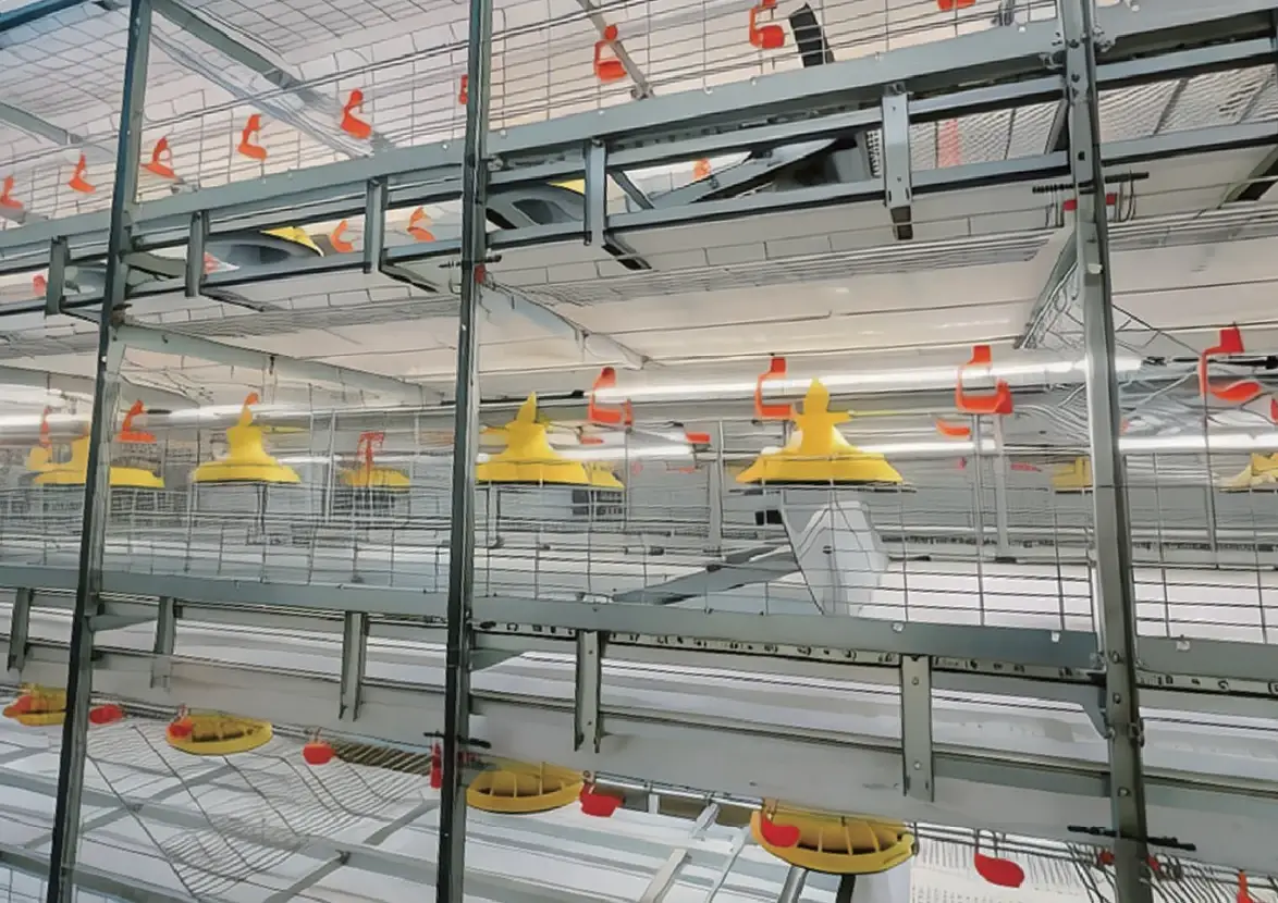 Automatic harvesting broiler cage with feeder pans and drinkers
