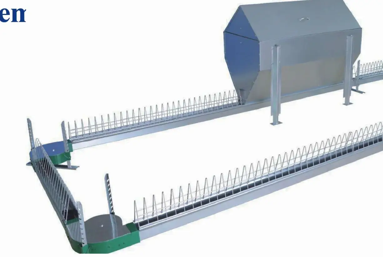 Breeder chain feeding system with hopper and trough grill