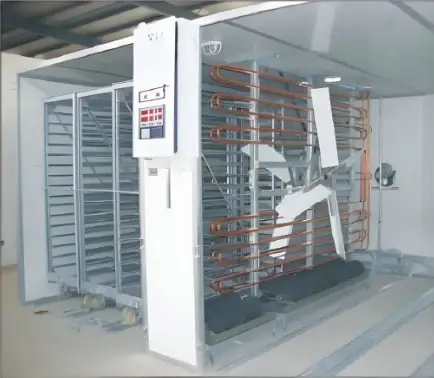 Single-stage incubator room with egg trolleys loaded