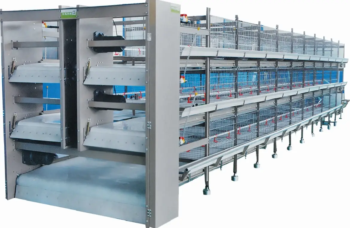 Double-row manual harvesting broiler cage system